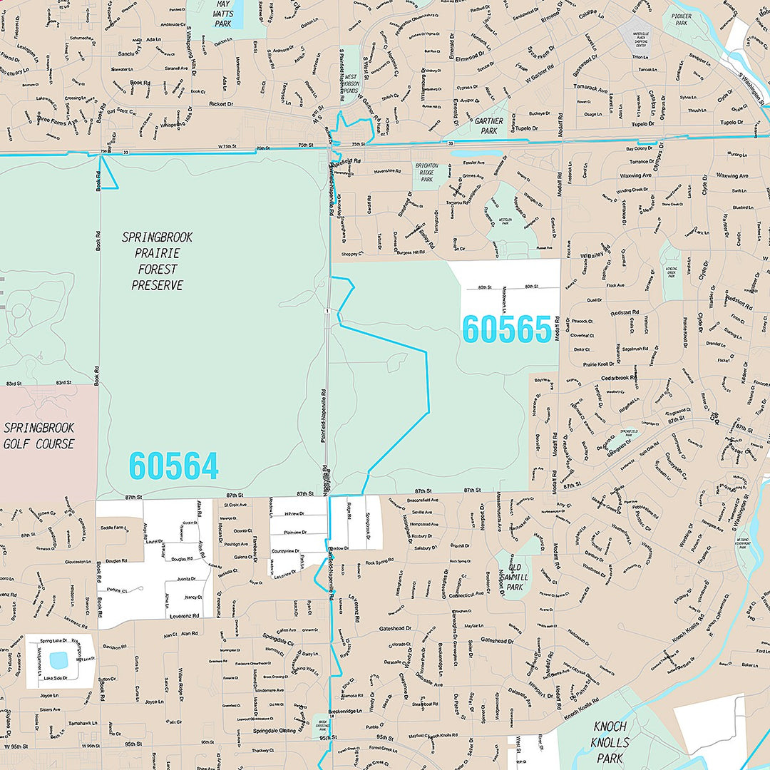 Premium Style Wall Map of Naperville, IL