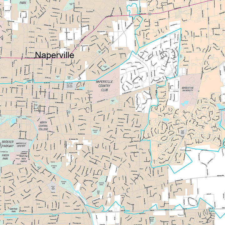 Premium Style Wall Map of Naperville, IL