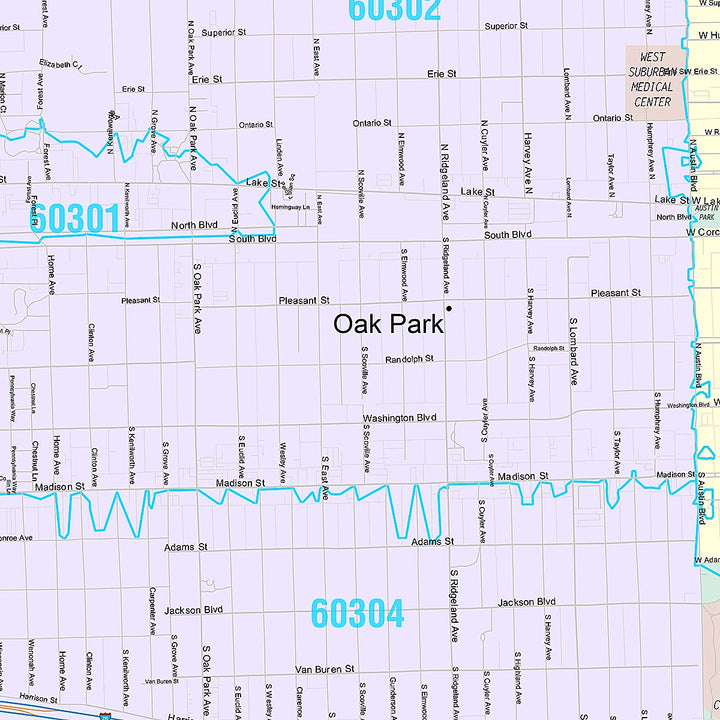Premium Style Wall Map of Oak Park, IL