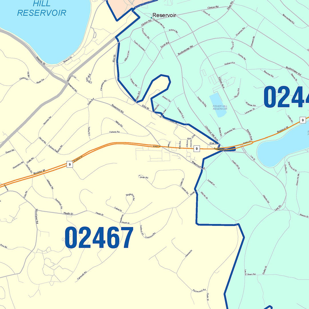 Color Cast Zip Code Style Wall Map of Brookline, MA
