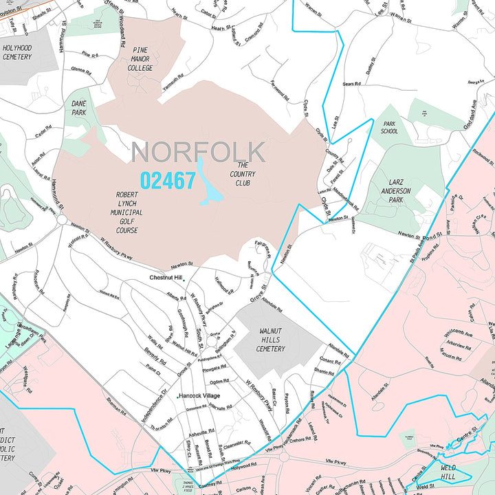 Premium Style Wall Map of Brookline, MA