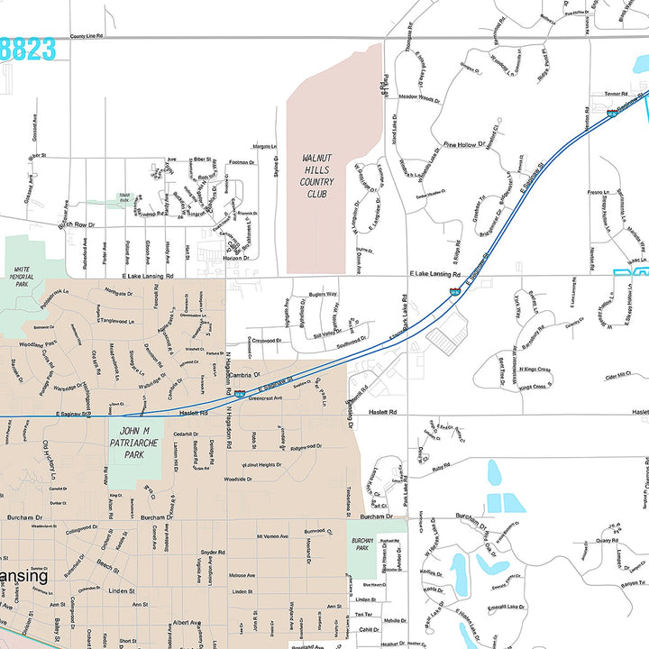 Premium Style Wall Map of East Lansing, MI