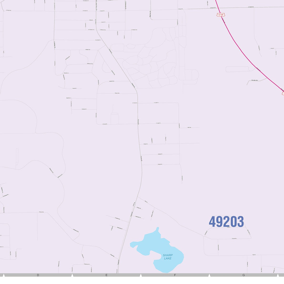 Color Cast Zip Code Style Wall Map of Jackson, MI