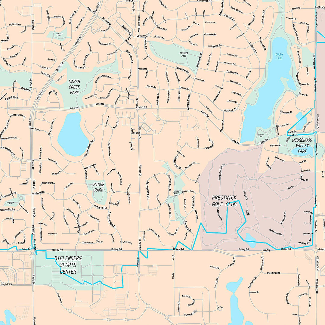 Premium Style Wall Map of Woodbury, MN