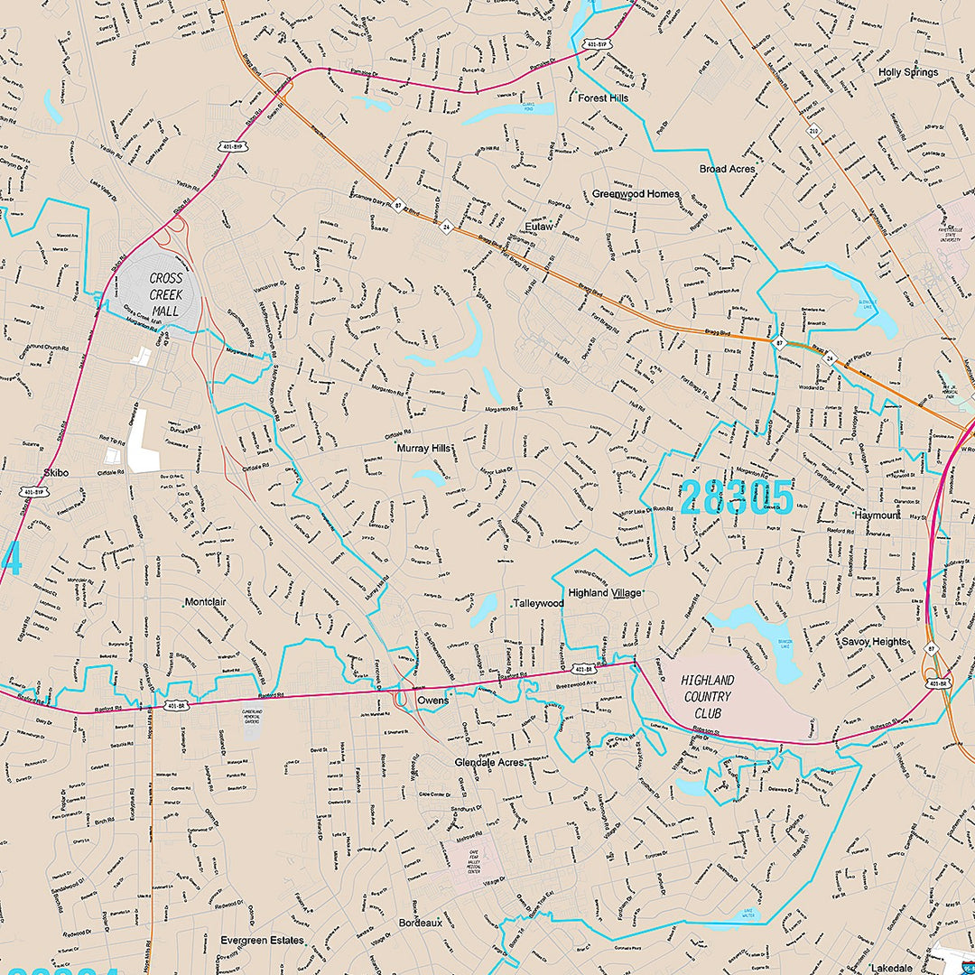 Premium Style Wall Map of Fayetteville NC
