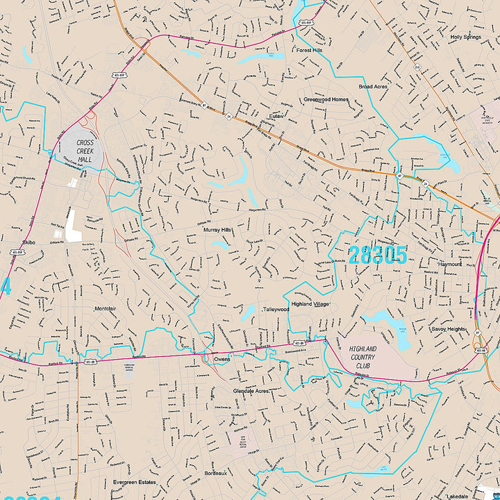 Premium Style Wall Map of Fayetteville NC