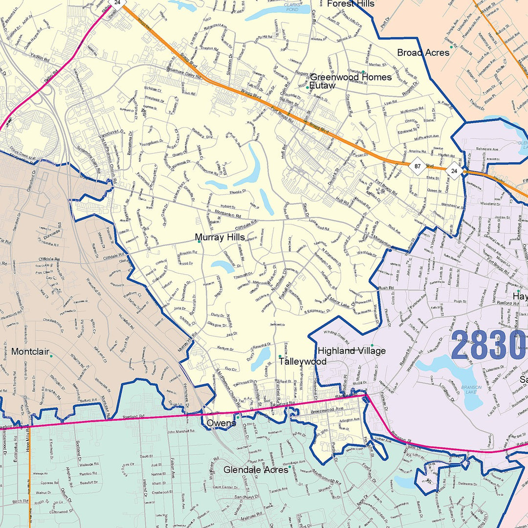 Color Cast Zip Code Style Wall Map of Fayetteville, NC