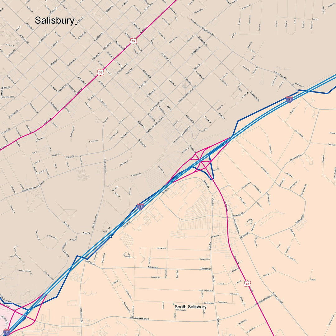 Color Cast Zip Code Style Wall Map of Salisbury, NC