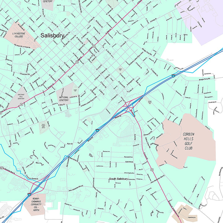 Premium Style Wall Map of Salisbury, NC