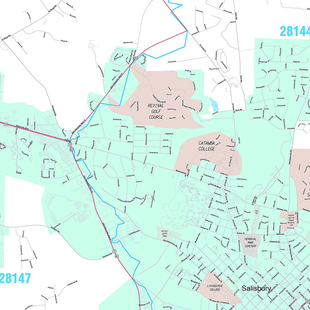 Premium Style Wall Map of Salisbury, NC