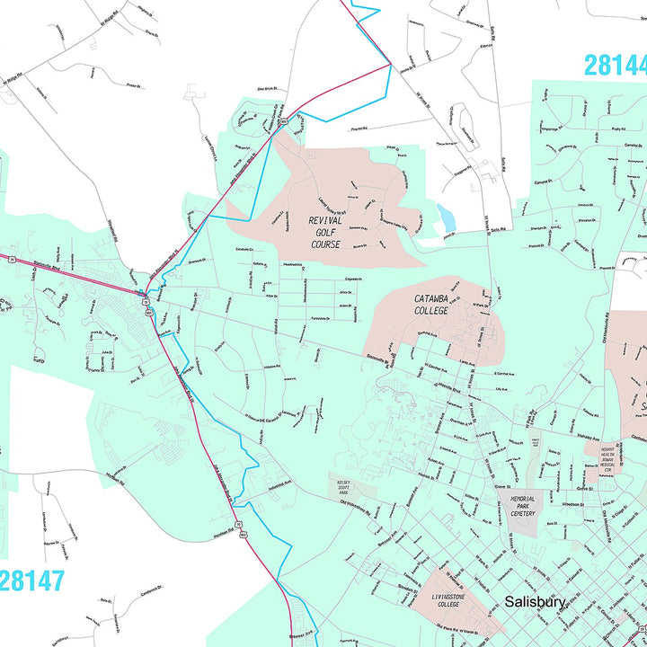 Premium Style Wall Map of Salisbury, NC