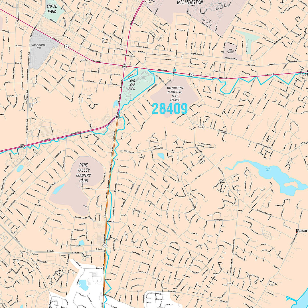 Premium Style Wall Map of Wilmington, NC