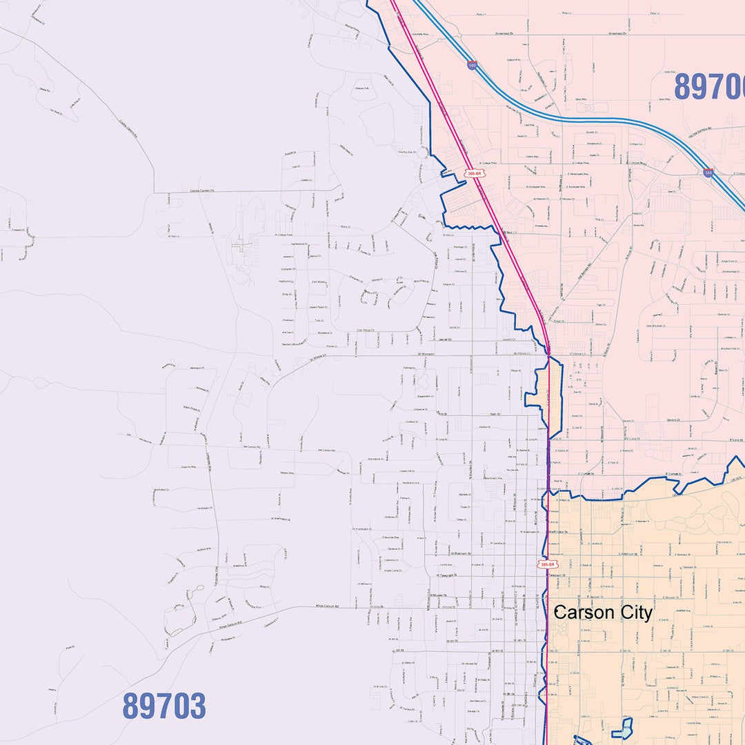 Color Cast Zip Code Style Wall Map of Carson City, NV