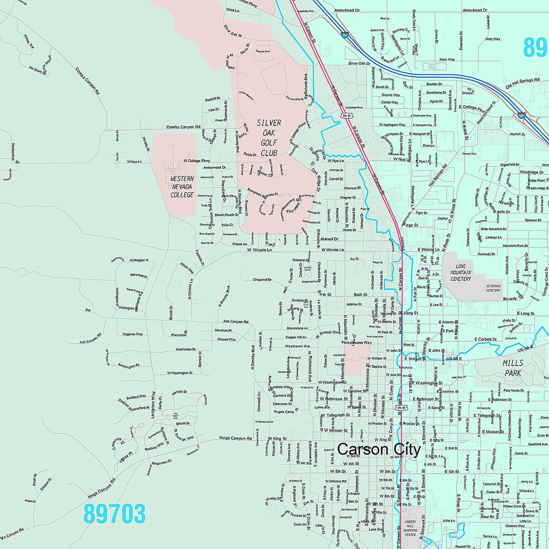 Premium Style Wall Map of Carson City, NV