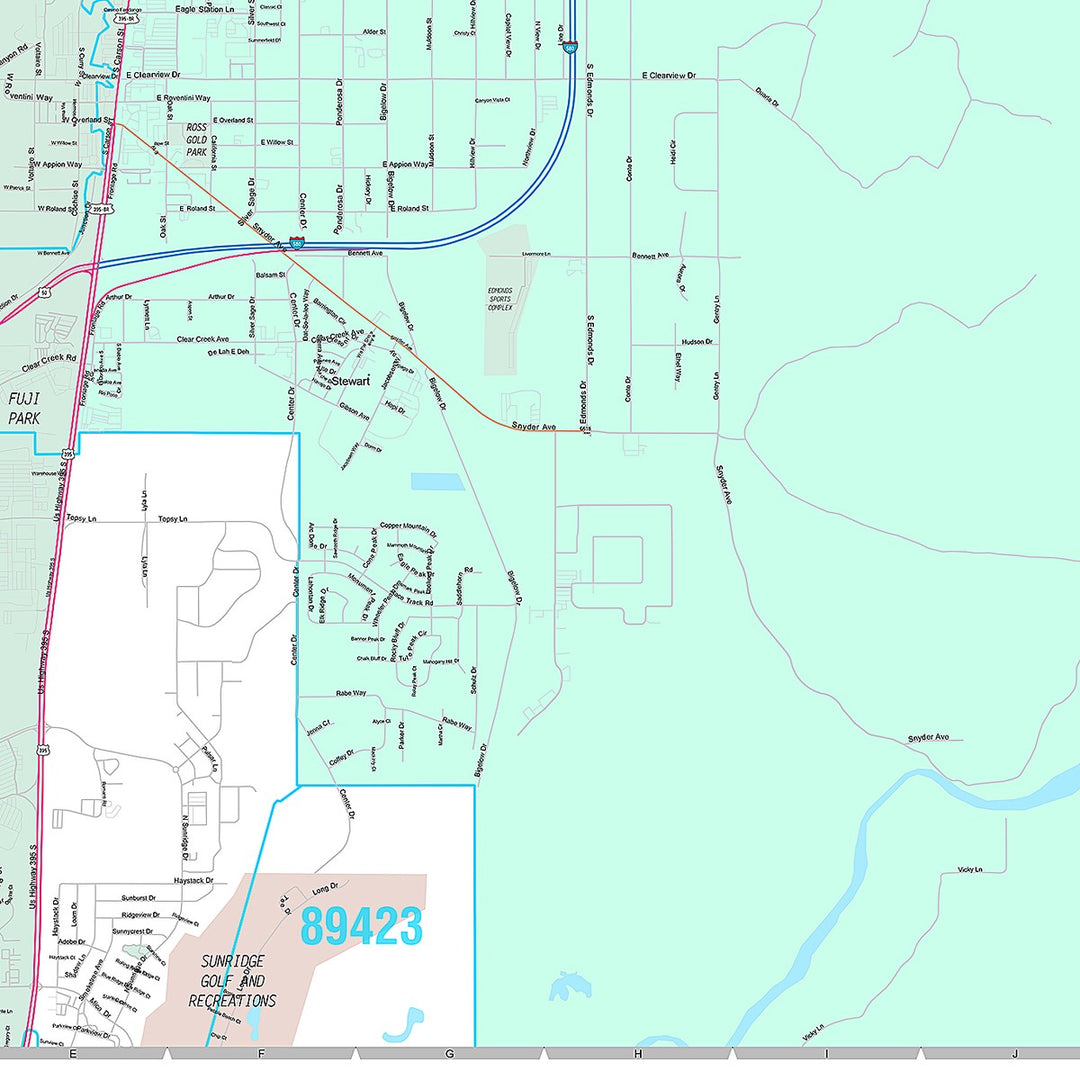 Premium Style Wall Map of Carson City, NV
