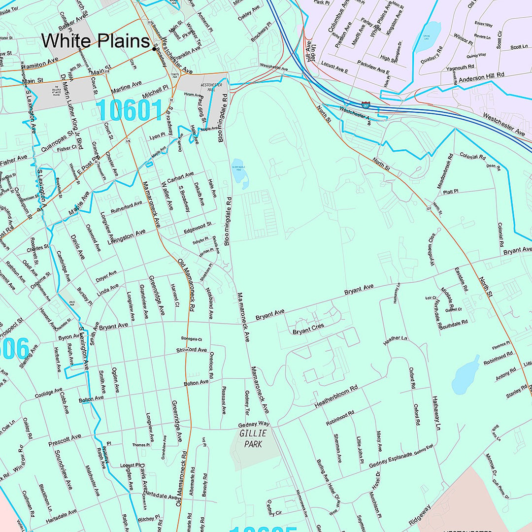 Premium Style Wall Map of White Plains, NY