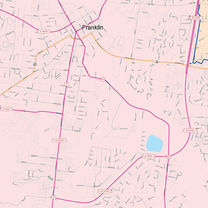Color Cast Zip Code Style Wall Map of Franklin, TN