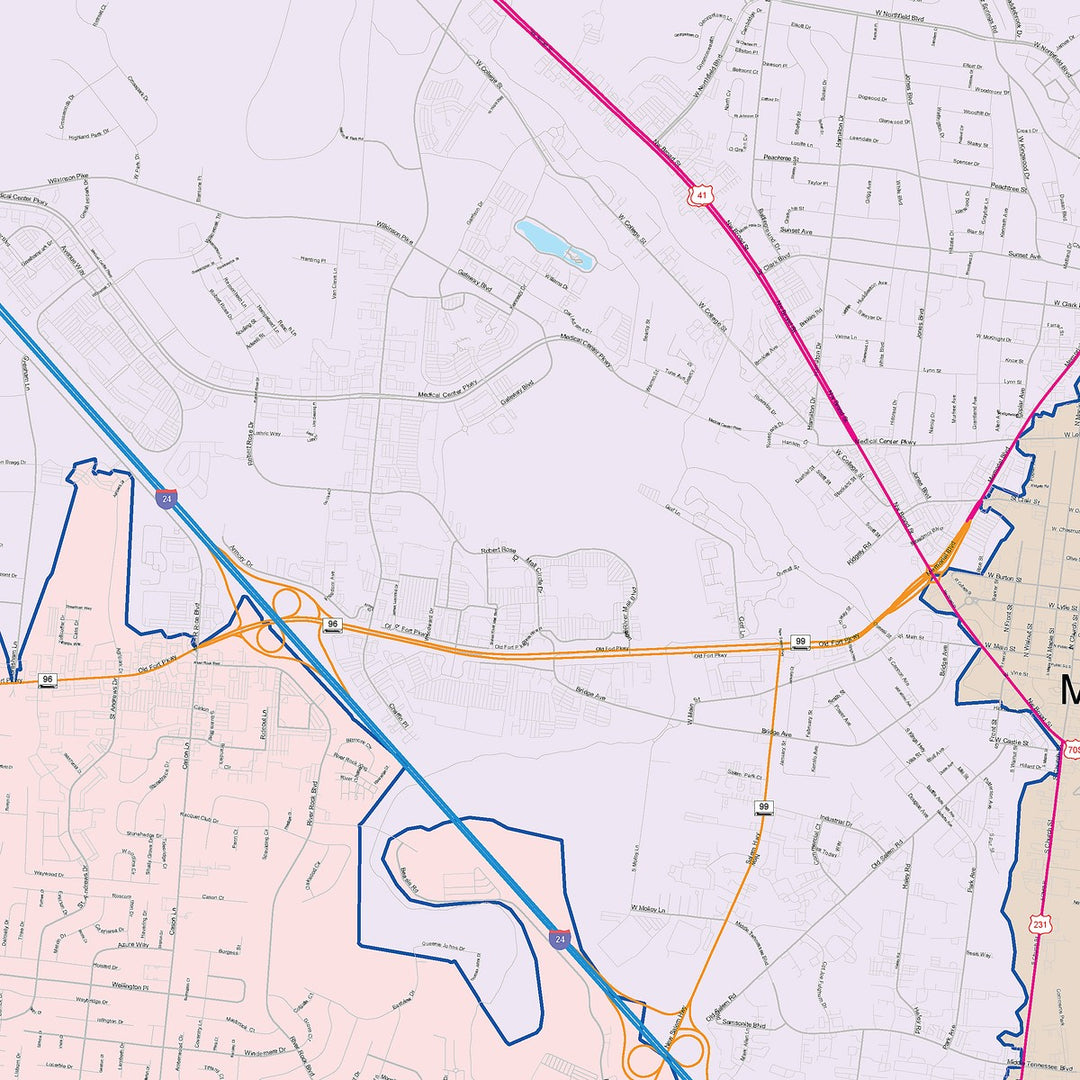 Color Cast Zip Code Style Wall Map of Murfreesboro, TN