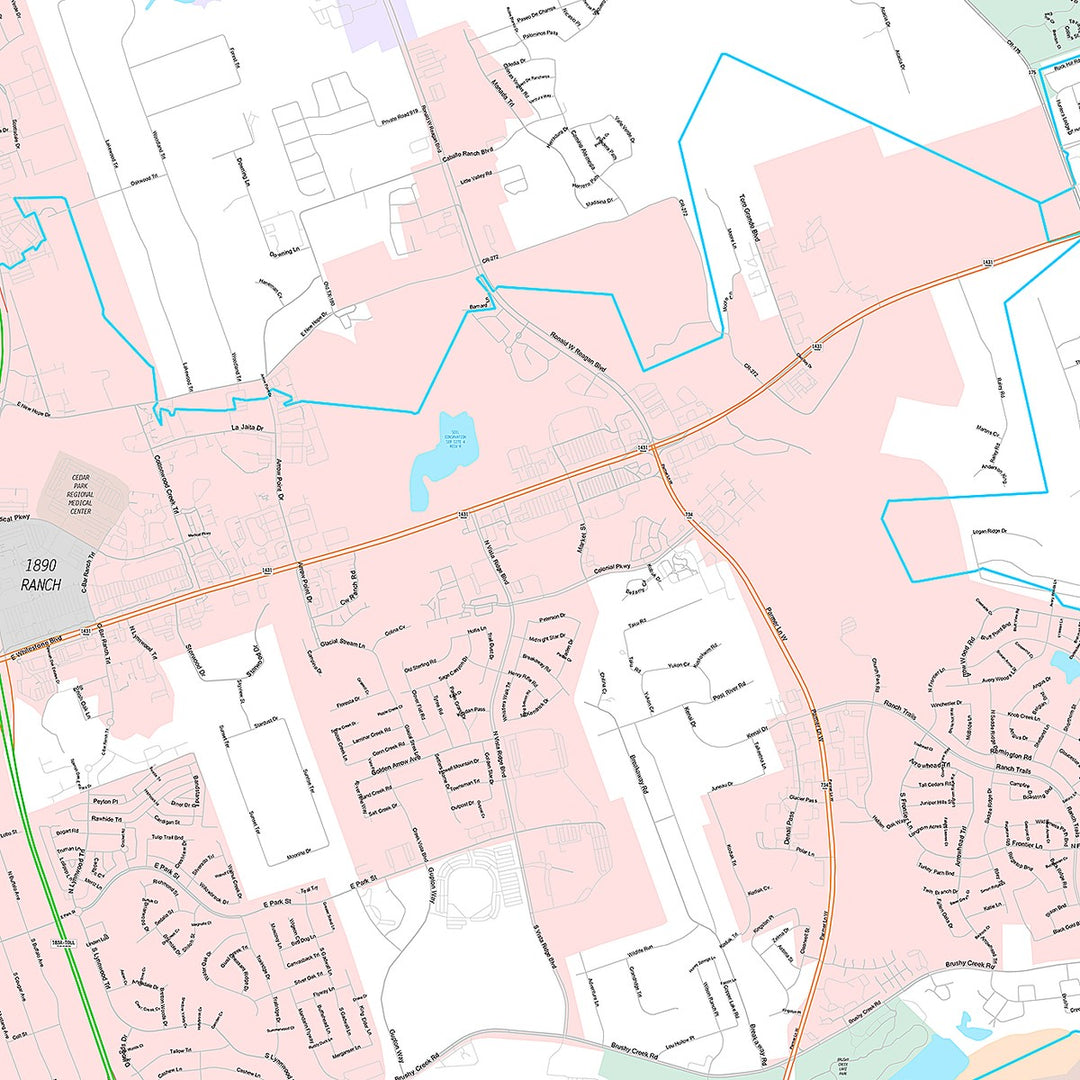 Premium Style Wall Map of Cedar Park, TX