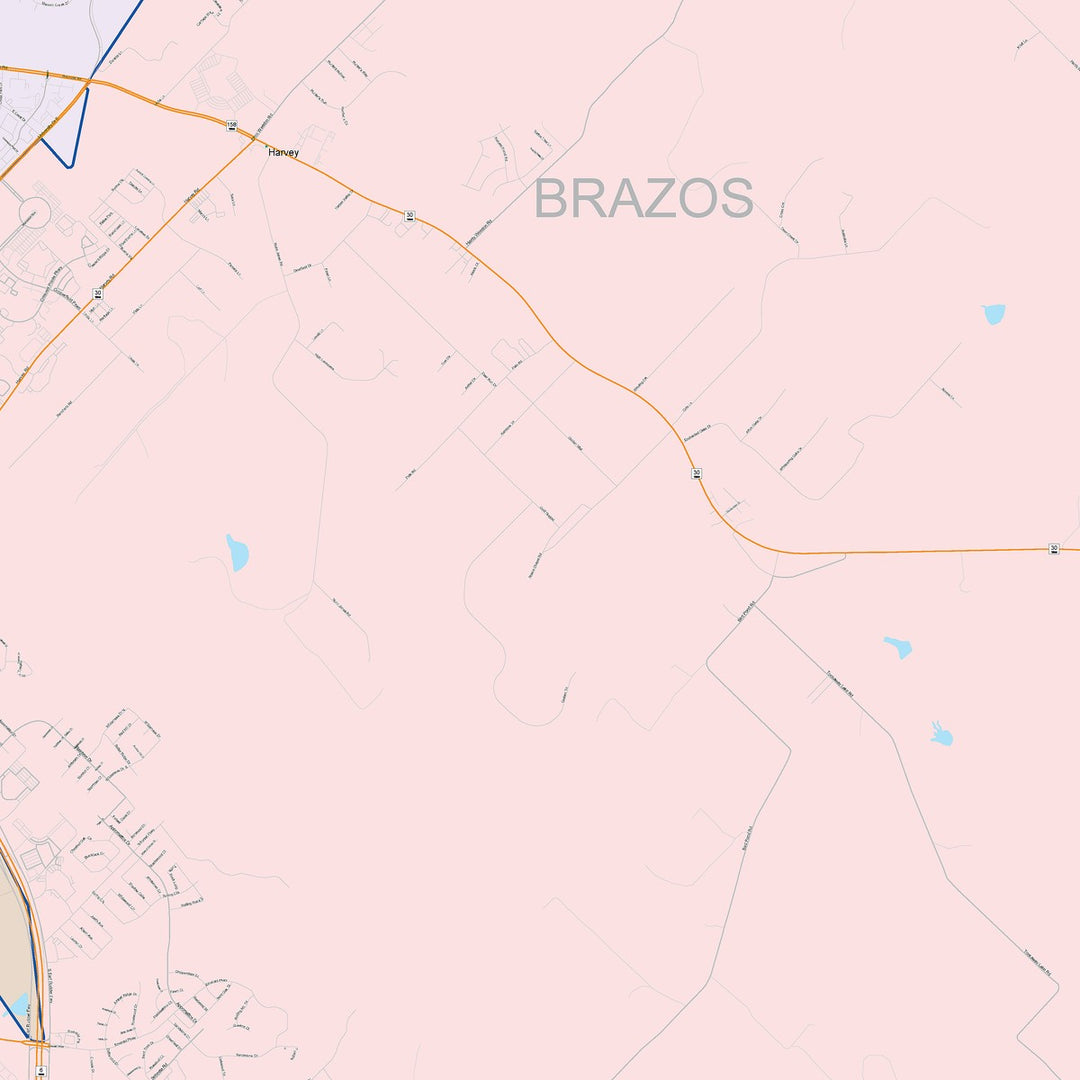 Color Cast Zip Code Style Wall Map of College Station, TX