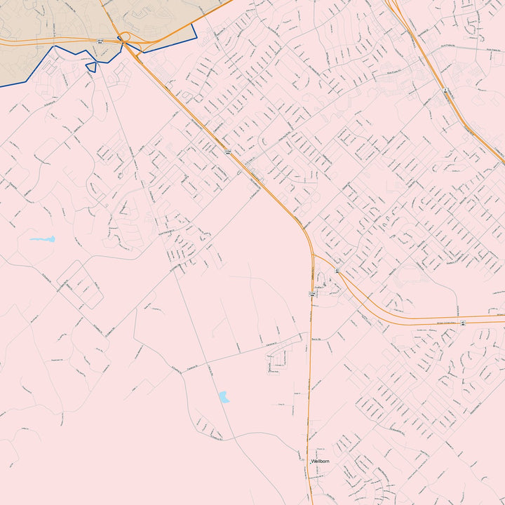 Color Cast Zip Code Style Wall Map of College Station, TX