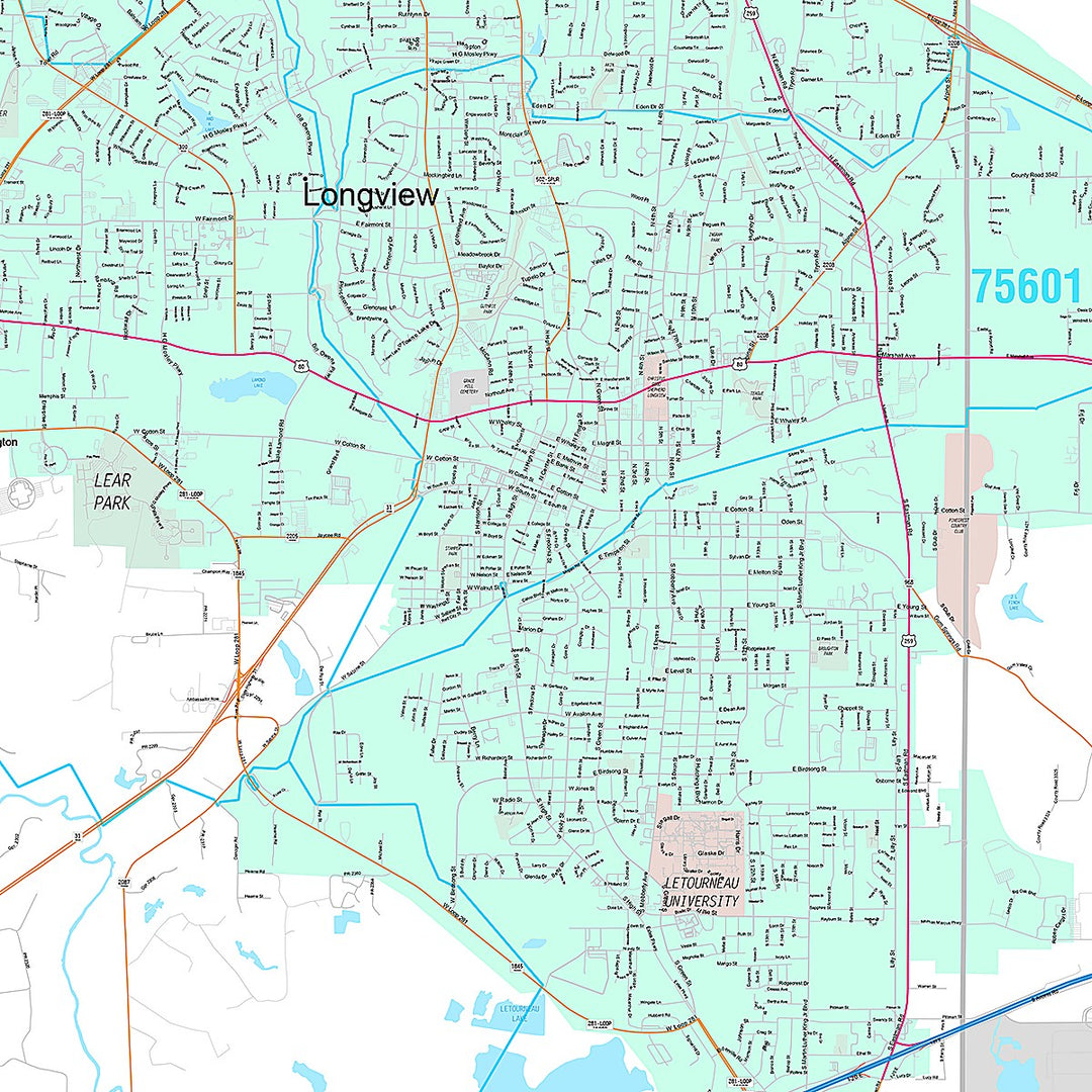 Premium Style Wall Map of Longview, TX