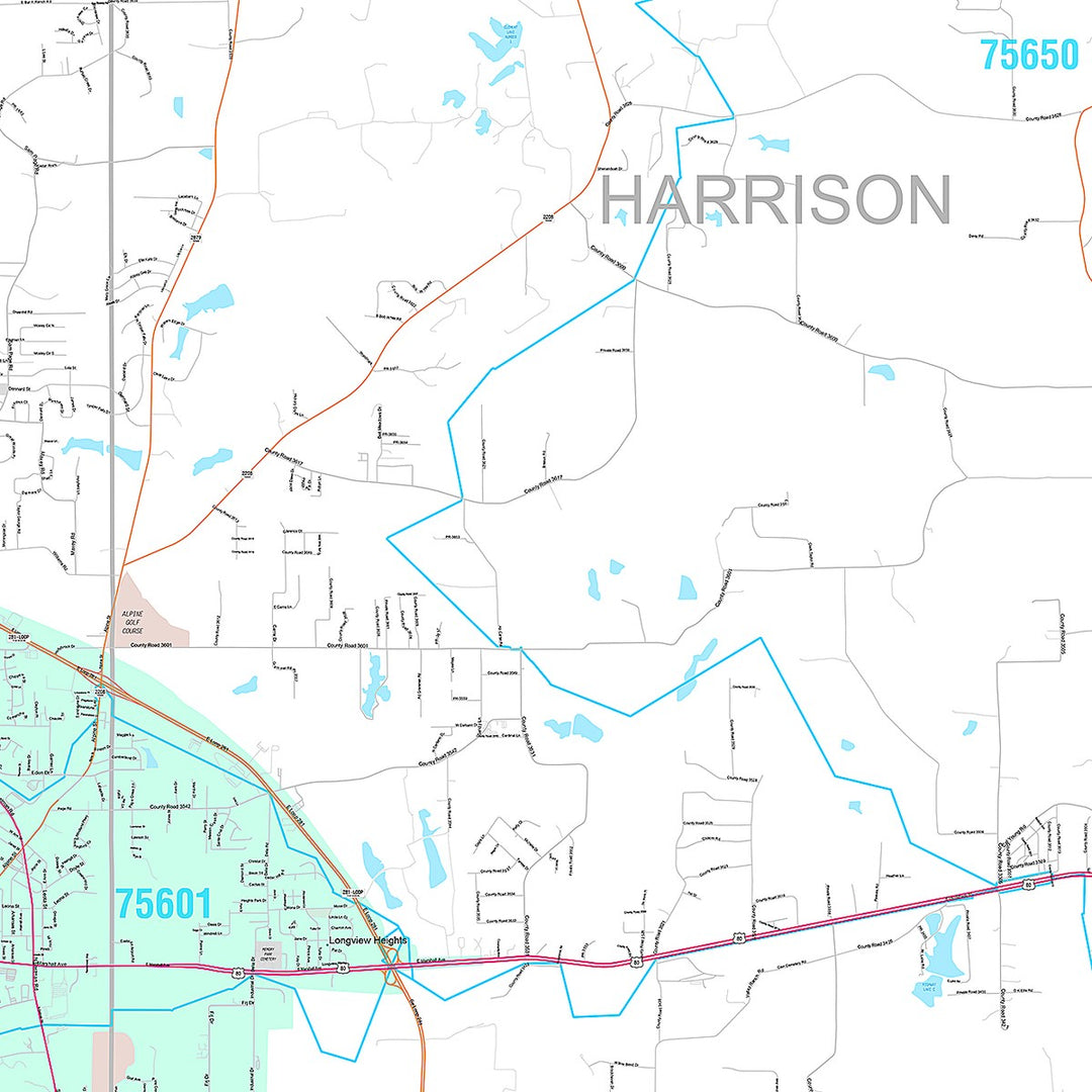 Premium Style Wall Map of Longview, TX