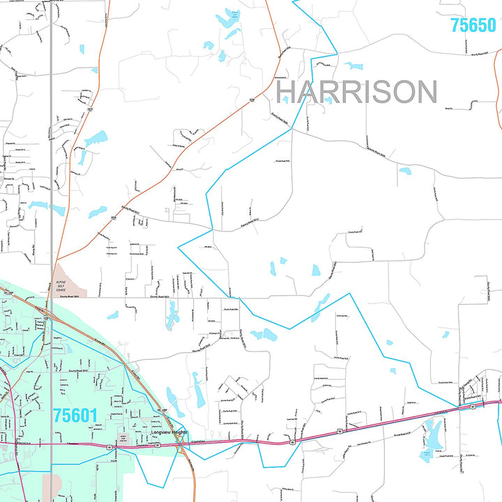 Premium Style Wall Map of Longview, TX