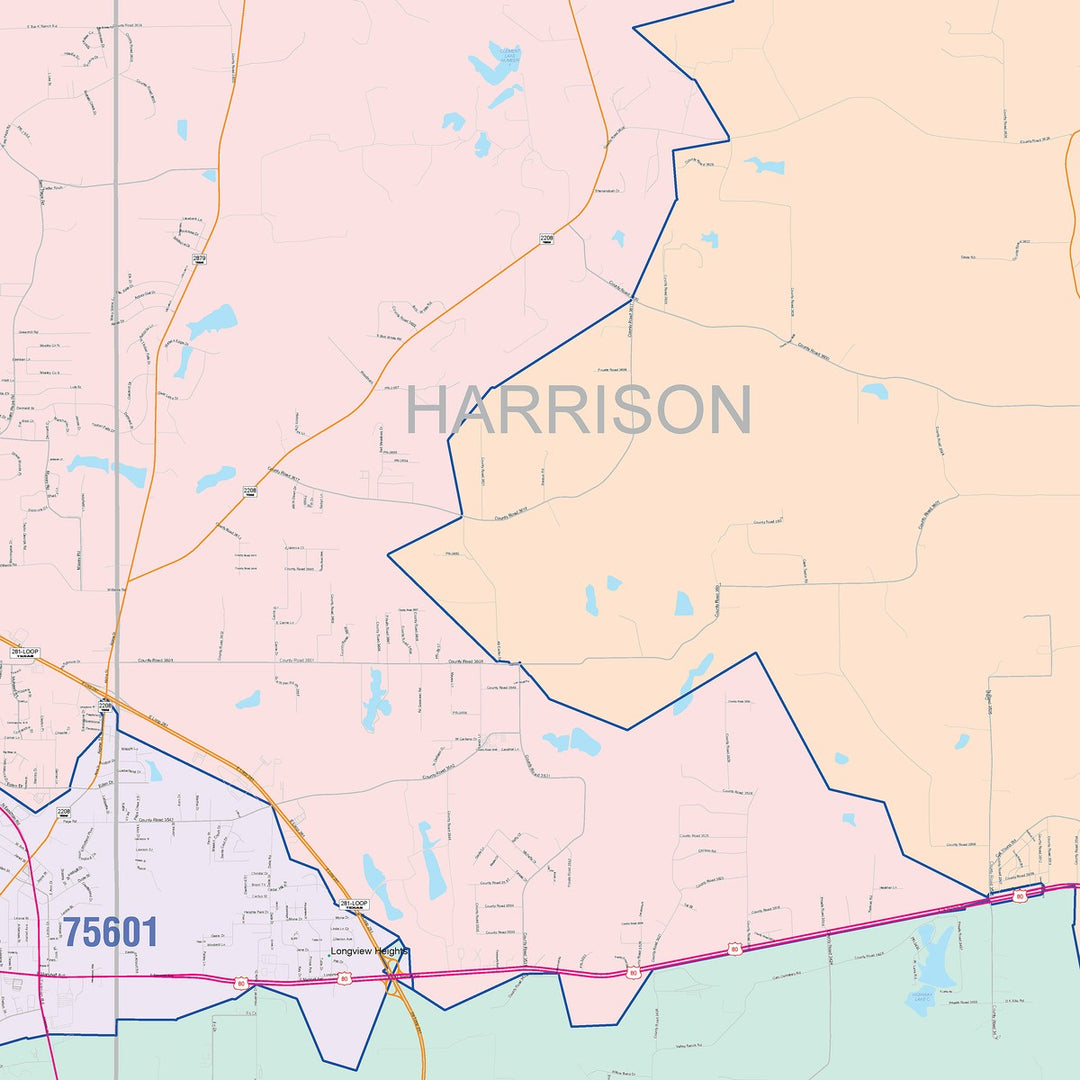Color Cast Zip Code Style Wall Map of Longview, TX