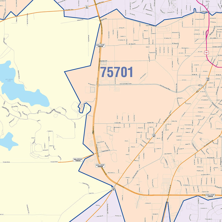 Color Cast Zip Code Style Wall Map of Tyler, TX