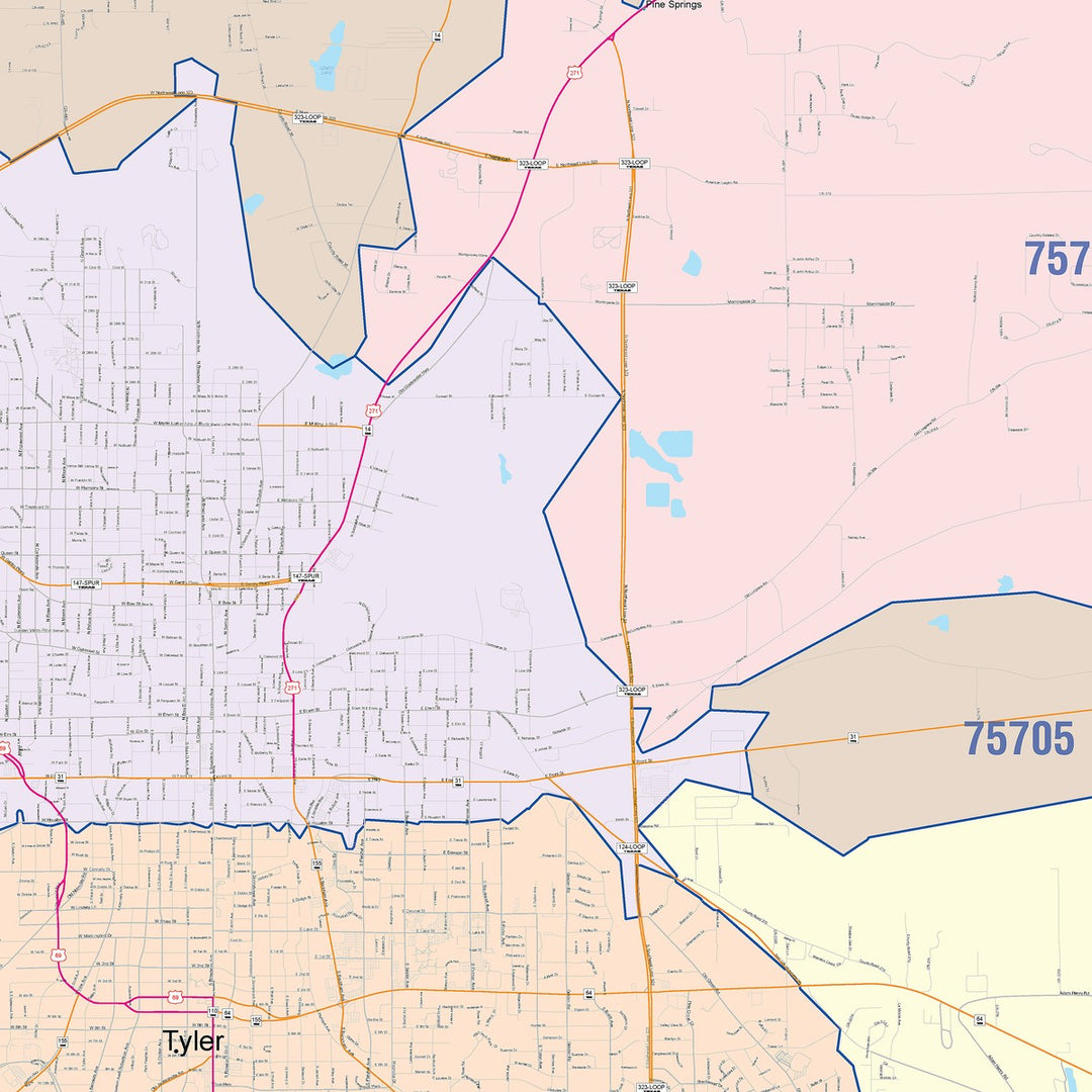 Color Cast Zip Code Style Wall Map of Tyler, TX