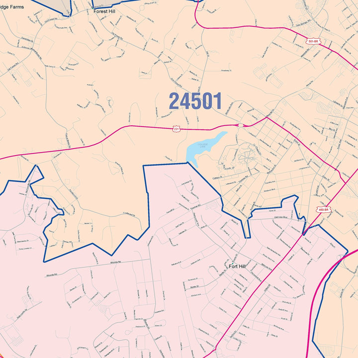 Color Cast Zip Code Style Wall Map of Lynchburg, VA