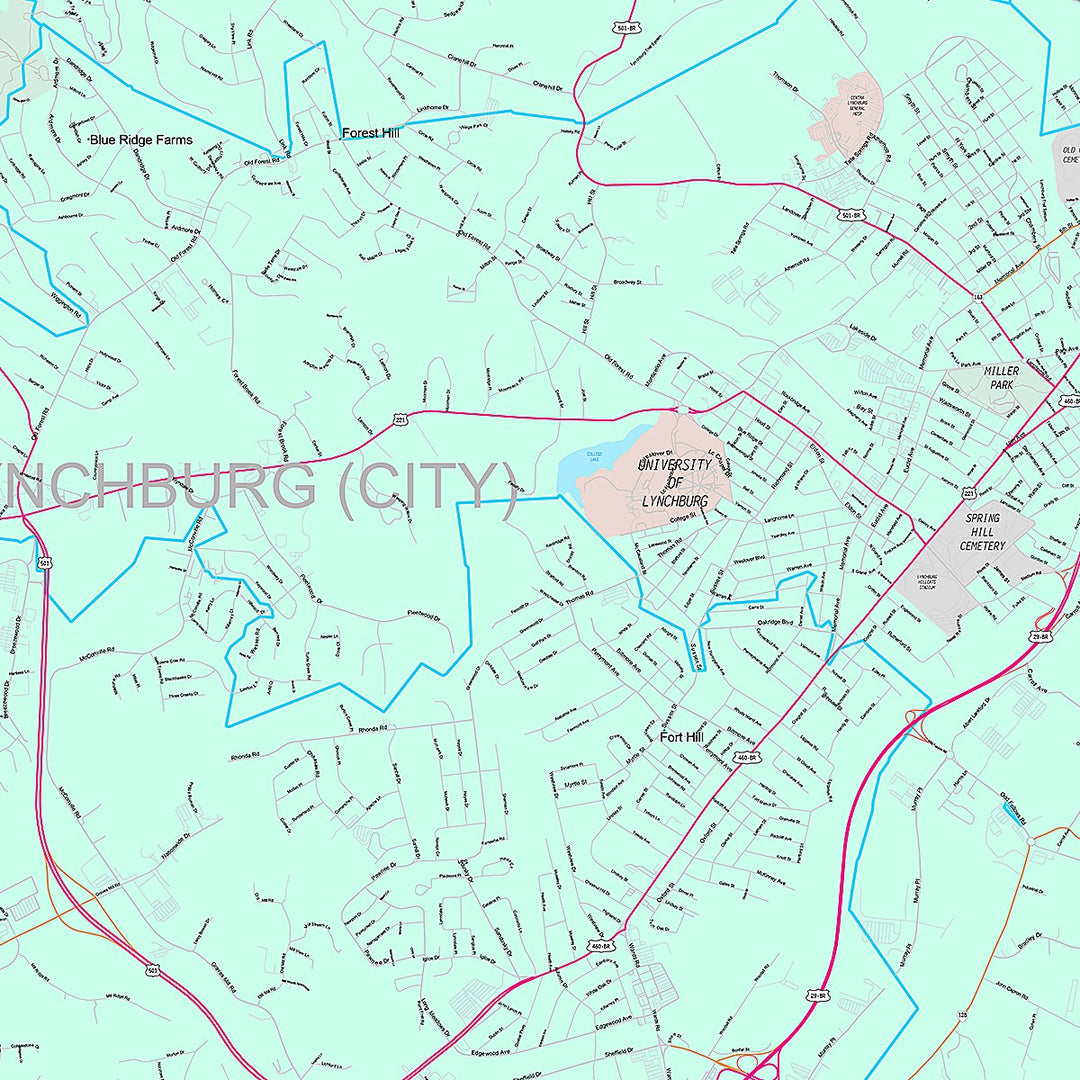 Premium Style Wall Map of Lynchburg, VA