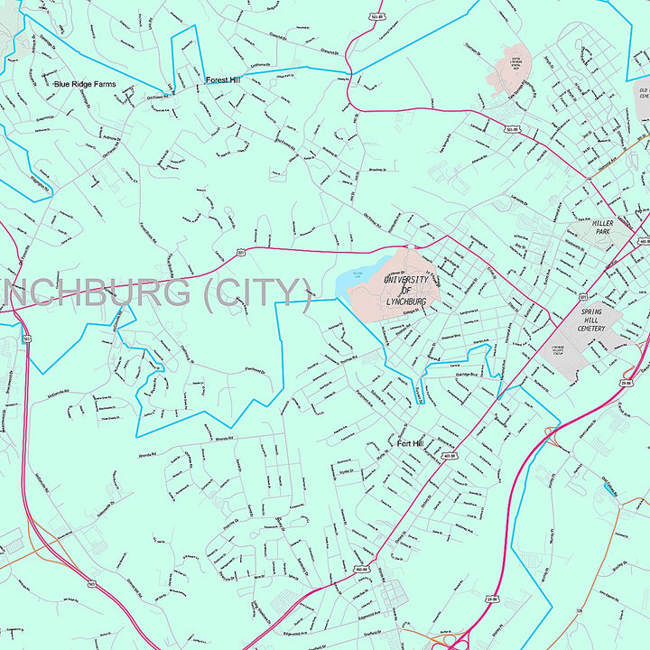 Premium Style Wall Map of Lynchburg, VA