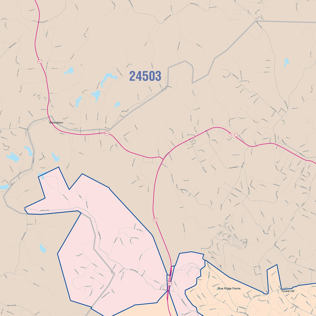 Color Cast Zip Code Style Wall Map of Lynchburg, VA