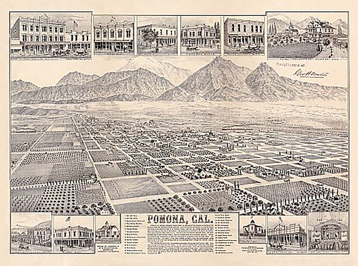 Pomona, California by W W Elliott &amp; Co, 1886