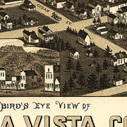 Bird's eye view of Buena Vista Colorado, 1882