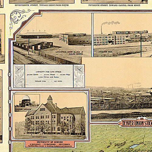 Bird's eye view of Denver Colorado, 1908