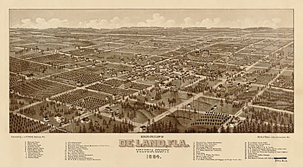 Bird's eye view of De Land Florida, 1884