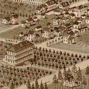 Bird's eye view of De Land Florida, 1884