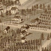 Bird's eye view of De Land Florida, 1884