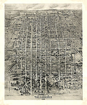 Aero-view of Tallahassee, 1926