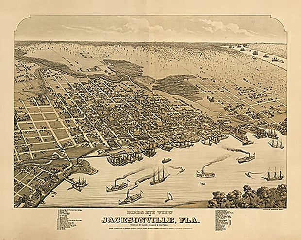 Birds eye view of Jacksonville, Fla. 1876