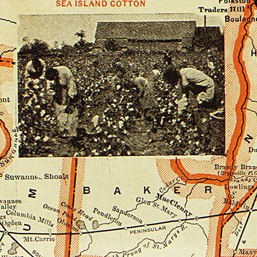 Correct map of Florida, season of 1894-5, showing the Tropical Trunk Line