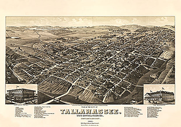 View of the city of Tallahassee, county seat of Leon county, 1885