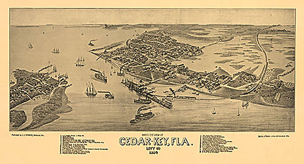 Bird's eye view of Cedar-Key, Fla., 1884