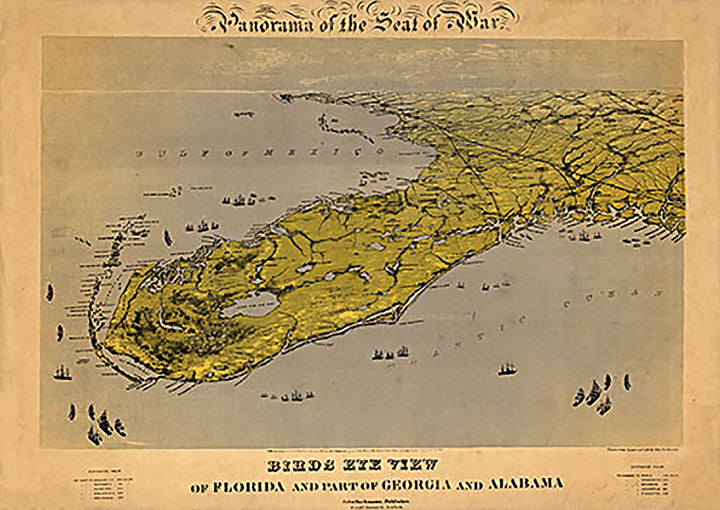 Birds eye view of Florida and part of Georgia and Alabama Drawn from nature, 1861