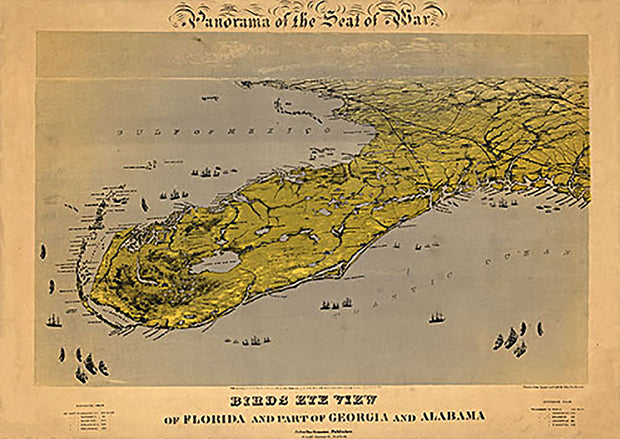 Birds eye view of Florida and part of Georgia and Alabama Drawn from nature, 1861