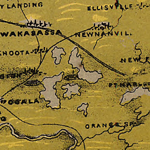 Birds eye view of Florida and part of Georgia and Alabama Drawn from nature, 1861