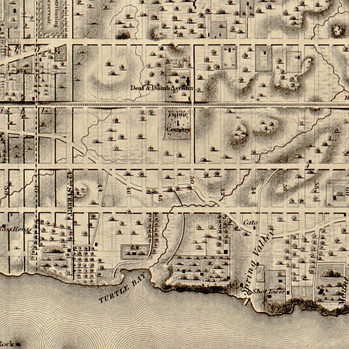 Topographical map of the city and county of New-York, and the adjacent country, 1836